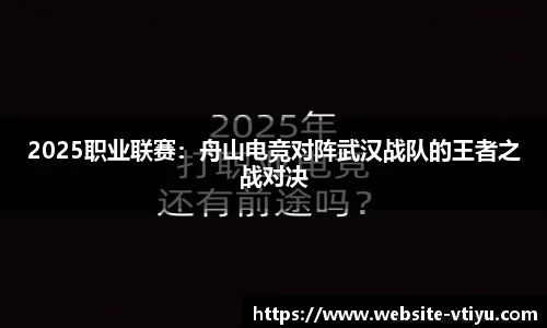 2025职业联赛：舟山电竞对阵武汉战队的王者之战对决